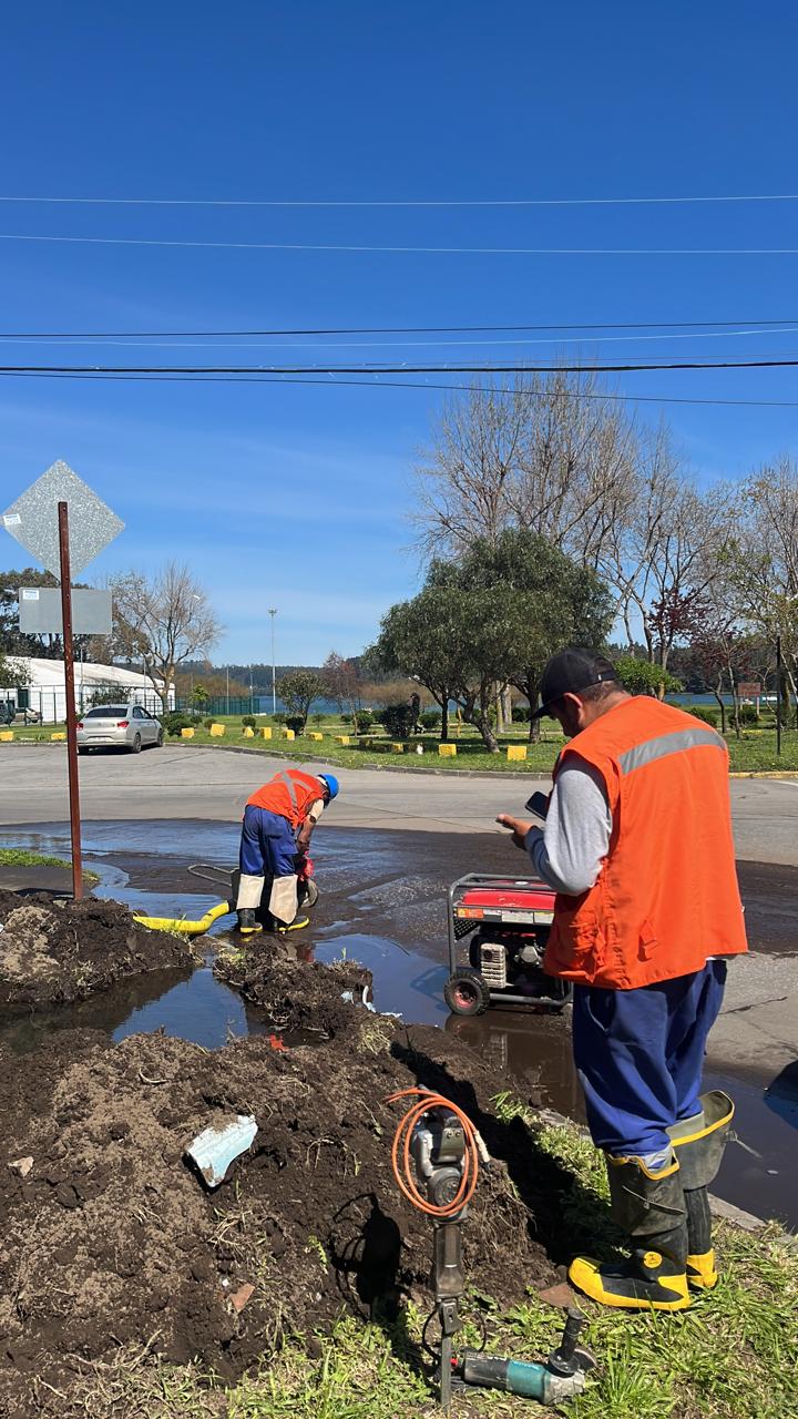 Servicios de Ingeniería y Gestión de Obras